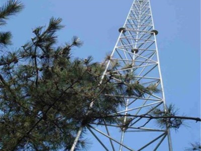 防雷避雷塔  楼顶避雷塔  45米三角避雷塔 避雷塔保护装置