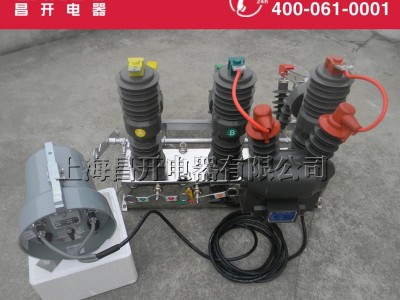 昌开电器高压双电源互投装置 ZW32高压双电源开关