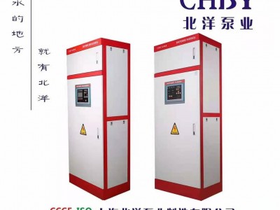 消防控制柜 消防巡检柜 消防双电源柜 星三角一用一备  CCCF认证AB签