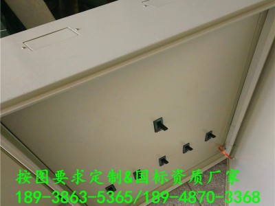 正泰二级配电箱 户外防雨三级防水箱 成套双排临时一级配电箱低压弱电箱 双电源保护箱 非标交流配电箱 配电箱带内门总电源箱