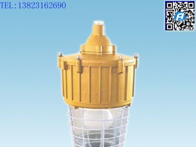 CCd-92防爆照明灯(高频无极灯)