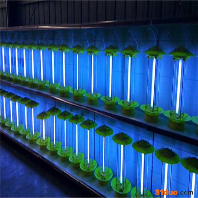 滨州农林杀虫灯 太阳能高频杀虫灯 黄光诱虫灯