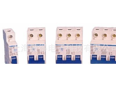 DZX4-1/1 DZX4系列微型断路器