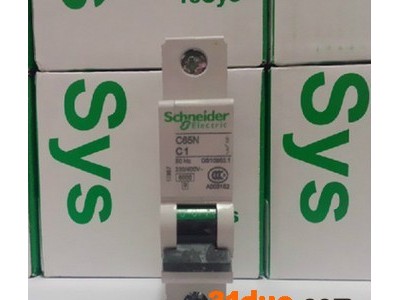Schneider/施耐德微型断路器（小型断路器）C65N 1P25A施耐德小型断路器