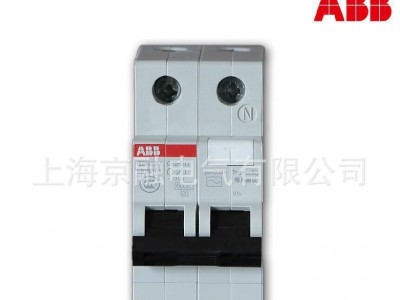 【ABB微型断路器】SH202-B20;10103928