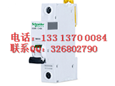泓新供应 施耐德Schneider  iC65N 1P  小型断路器 微型空气开关 欢迎来电咨询