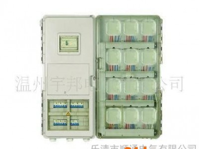 批发单相十二户透明电表箱DX-1201L