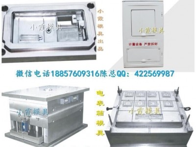 大型塑胶模具 新国网三相八电表箱模具黄岩地址