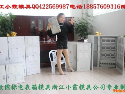 塑料模18表塑胶电表箱模具 2表电表箱塑料模具，表尾盖塑料模具价格