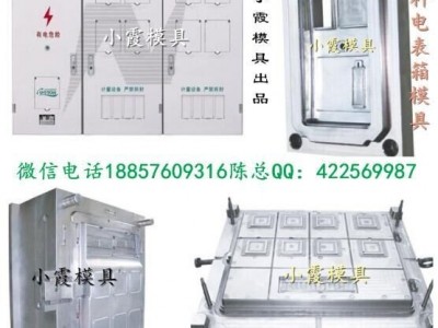 大型塑胶模具 新国标单相八位电表箱注射模具谁家做的好