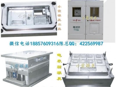 台州黄岩塑料模具 新国网单相六位电表箱模具厂家地址