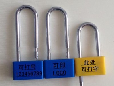 一次性挂锁/小挂锁/施封锁/电表箱防盗锁/防盗挂锁**价廉】