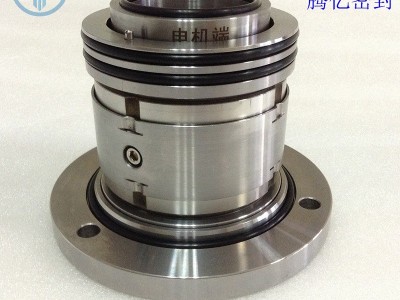 700DT-A85 700DT-A90 脱硫泵机械密封