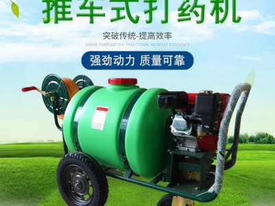 四冲程高压汽油喷雾器 蔬菜大棚消杀除虫打药机 地下车库消杀喷雾器