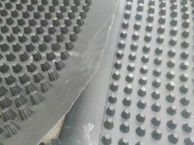 凹凸排水板 厂家供应 欢迎询价 屋顶车库排水板 绿化排水用顶板