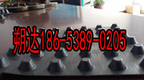 供应车库绿化排水板,车库顶绿化排水板