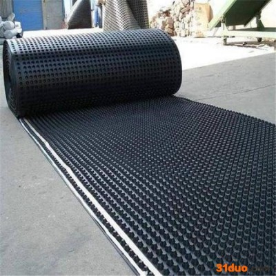 塑料绿化排水板 车库隔热排水板 滤水卷材排水板 生产销售 欢迎咨询