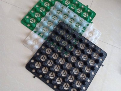 车库顶板排水板 蓄排水板 屋顶绿化排水板厂家现货