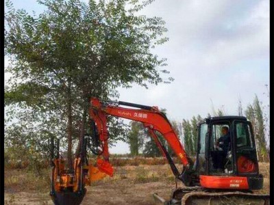 金耀60挖树机 80挖树机 树苗移植机 园林树苗移植机大量生产