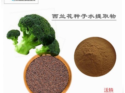 西兰花种子水提取物10:1  萝卜硫素  西兰花粉
