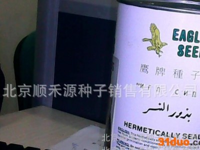 芦笋种子美国进口芦笋种子