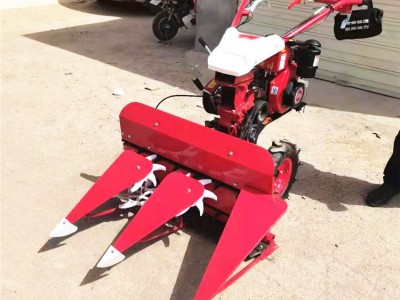 广盛  免间苗上海青播种机 蔬菜精播机 大葱种子播种机 多行芹菜播种机