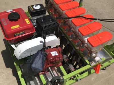 手推式蔬菜种子播种机 玉米机精播机 多行种子精播机