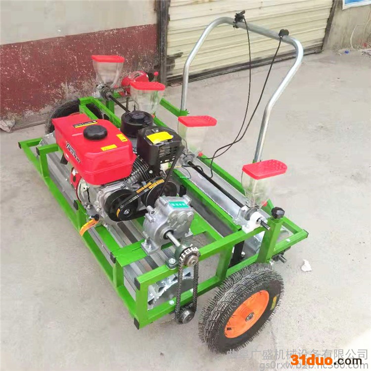 广盛  小颗粒种子精播机 汽油萝卜生菜播种机 多行蔬菜草种子播种机