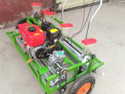 广盛  小颗粒种子精播机 汽油萝卜生菜播种机 多行蔬菜草种子播种机