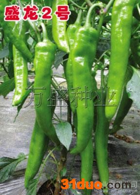 供应**辣椒种子|万盛辣椒种子|高产辣椒种子|耐寒辣椒种子