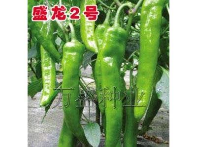 供应**辣椒种子|万盛辣椒种子|高产辣椒种子|耐寒辣椒种子