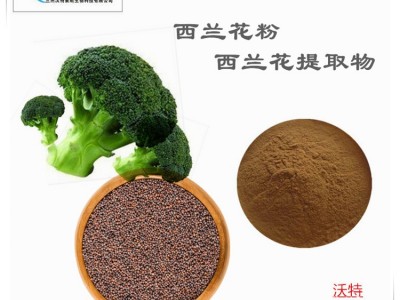 西兰花提取物10:1 萝卜硫素 西兰花粉 西兰花种子水提取物