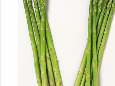 进口2000-3芦笋种子   芦笋种子  山东芦笋种子批发