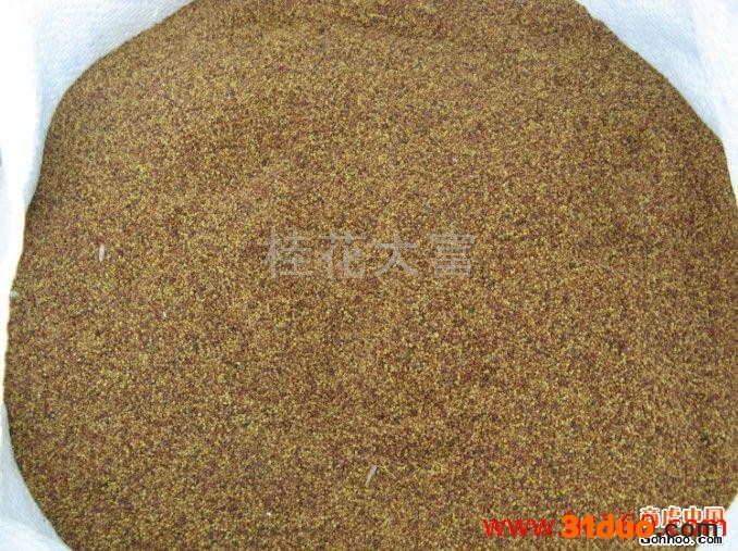 供应黑麦草种子、草籽、草坪种子、花木种子、花卉种子