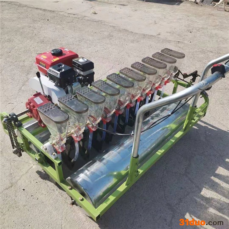 手推芹菜大葱播种机 电动6行菠菜菜花播种机 药材花卉播种机