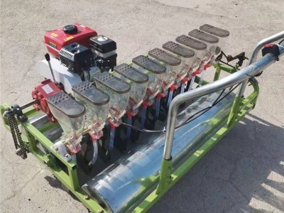 手推芹菜大葱播种机 电动6行菠菜菜花播种机 药材花卉播种机