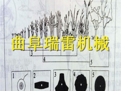 广州锄草机新型农用工具瑞雷牌锄草机花卉烟草开沟培土机 背负式锄草机 便携式锄地机 汽油松土机