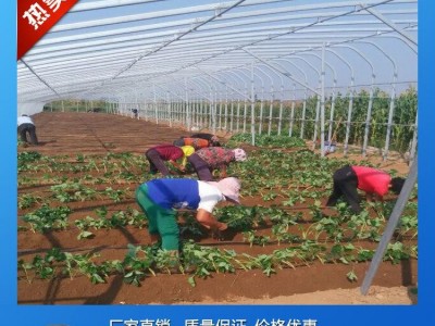 专业设计生产花卉 展厅   温室大棚   外遮阳等  价廉物美