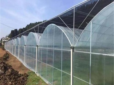 花卉大棚 花卉养殖大棚骨架 旭航