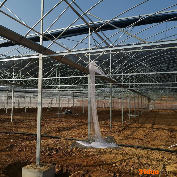 梅花大棚管 镀锌大棚管 大棚钢管 花卉大棚建设