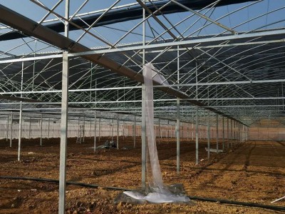 梅花大棚管 镀锌大棚管 大棚钢管 花卉大棚建设