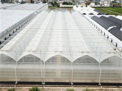 温室花卉大棚 花卉大棚骨架加工 旭航