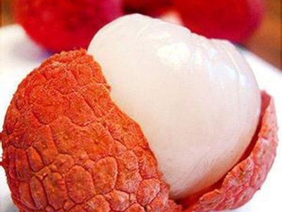 无核荔枝苗 妃子笑荔枝苗 当年结果荔枝苗 嫁接果树苗 荔枝苗