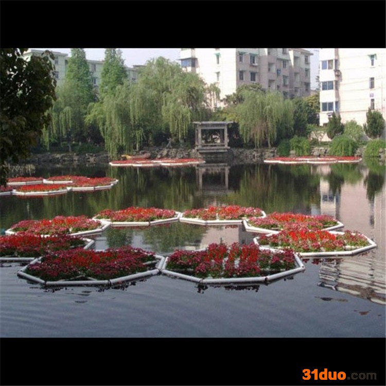 公园水生花卉水生态修复铭德源水生