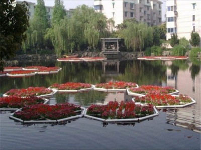 公园水生花卉水生态修复铭德源水生