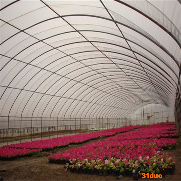 简易大棚 花卉温室大棚建设厂家 旭航