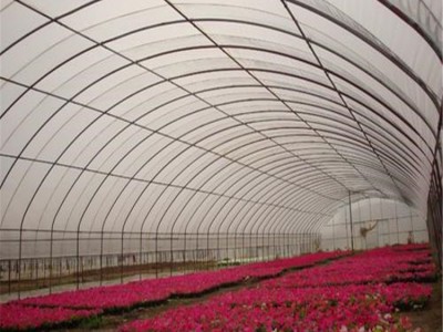 简易大棚 花卉温室大棚建设厂家 旭航