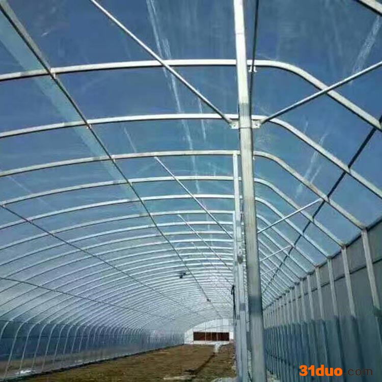 大棚管 春秋保温养殖大棚 花卉种植棚 专业厂家
