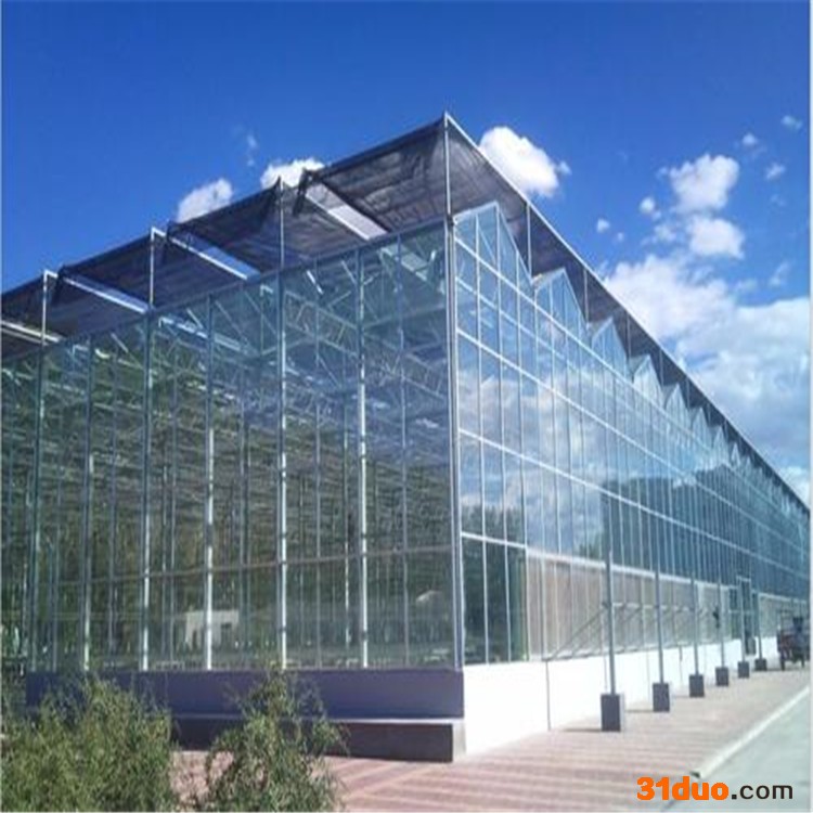 花卉大棚建设 山西玻璃板温室建造 旭航 玻璃温室