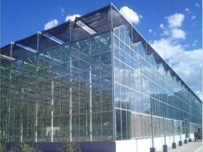 花卉大棚建设 山西玻璃板温室建造 旭航 玻璃温室